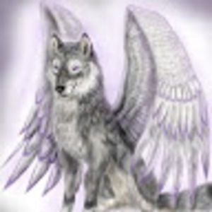 Meet your Posher, Athena